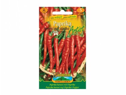 160656 paprika zeleninova sladka artist typ berani roh