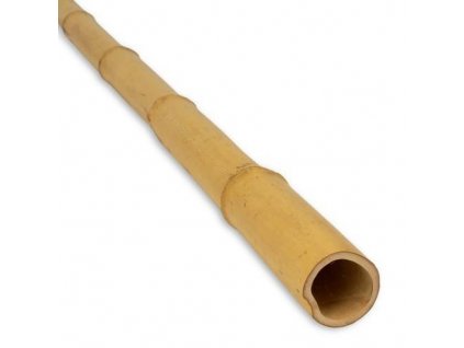 Tyč podpěra bambusová (Délka 75 cm, Průměr 8/10 mm)