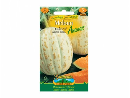 181974 meloun cukrovy oranje ananas
