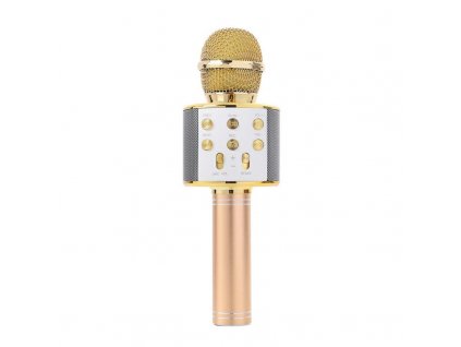 240804 q17b2 karaoke gold jednoduchy mikrofon
