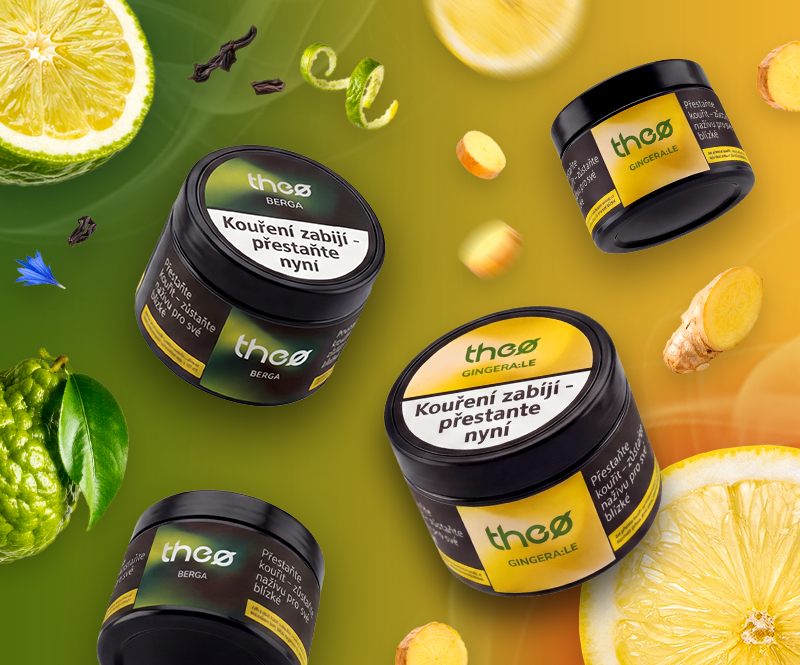 GINGER A BERGA MOBIL