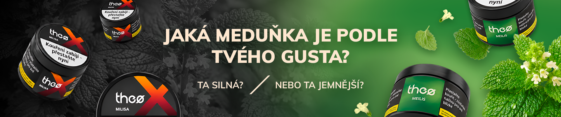 Meduňka