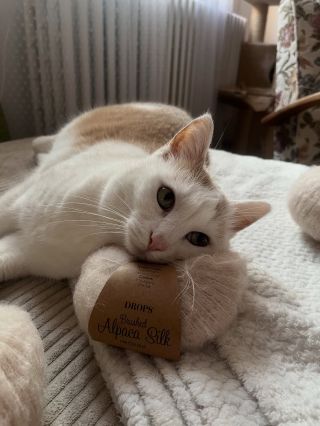 Šála pro @kikinarabas bude mít ještě o chloupek navíc🐈🧡🤍 od naší Pepinky