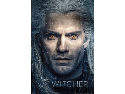 The Witcher geralt close up 1