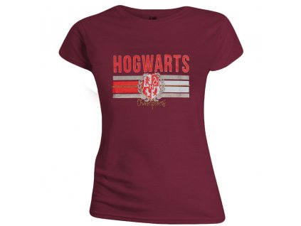 Harry Potter tričko Hogwarts Champions