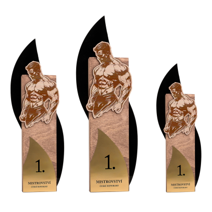 Trofej se sportovní siluetou - Bodybuilding - muž