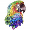Magické dřevěné puzzle - Pestrobarevný papoušek