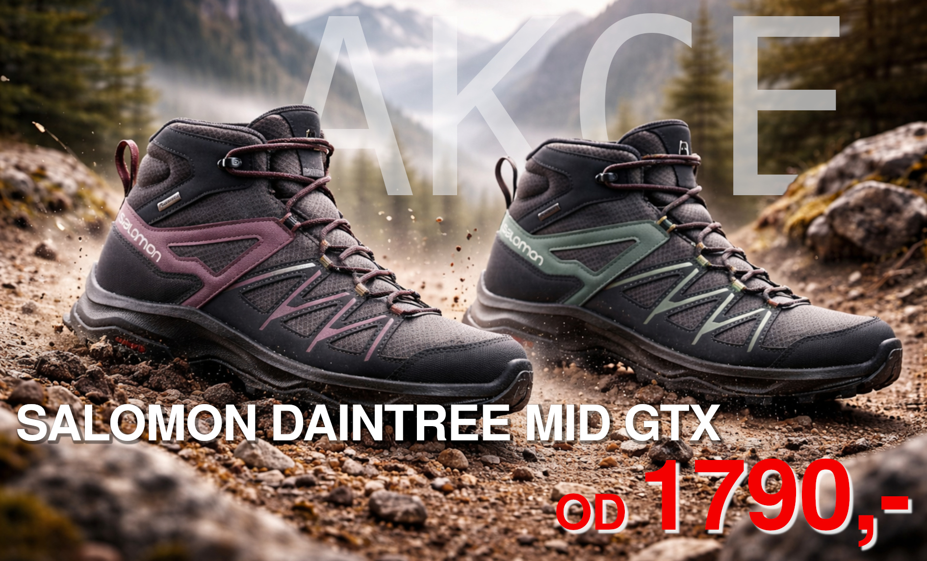 Salomon Daintree MID GTX