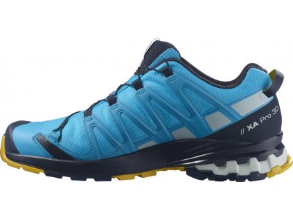 Salomon XA Pro 3D V8 GTX 413866