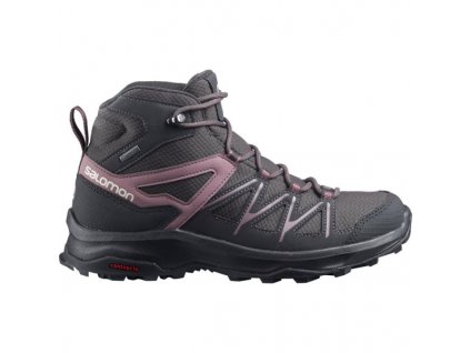 Dámská treková obuv Salomon Daintree Mid GTX W 412313