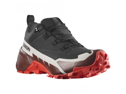 Salomon Cross Hike GTX 2