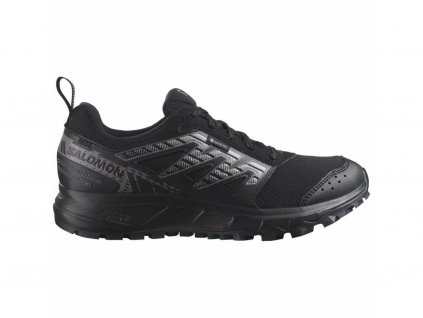 Salomon Wander GTX W