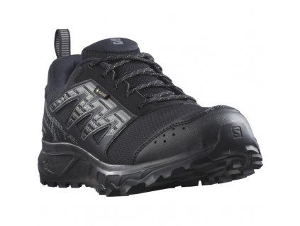 Salomon Wander GTX