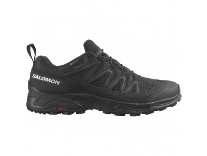 Salomon X Ward Leather GTX