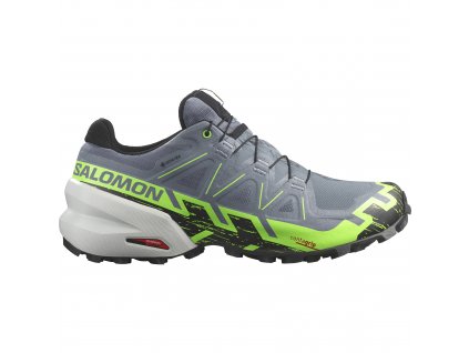 Salomon Speedcross 6 GTX