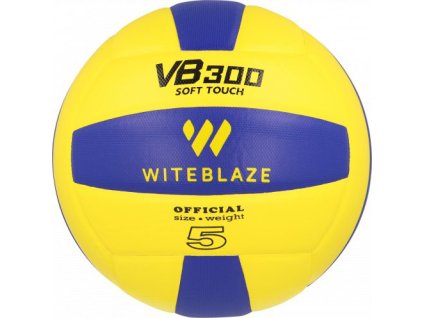 Volejbalový míč Witeblaze VB 300 New
