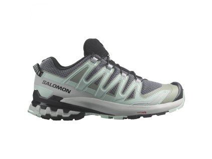 Salomon XA Pro 3D V9 GTX W