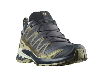 Salomon XA Pro 3D V9 GTX
