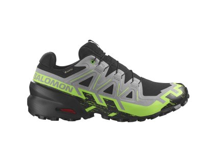 Salomon Speedcross 6 GTX