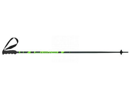 Sjezdové hole Elan SpeedRod Green