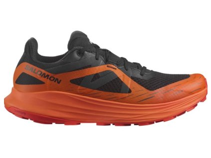 Salomon Ultra Flow GTX