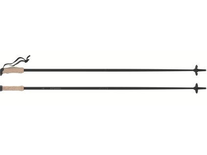 Sjezdové hole Atomic AMT Carbon