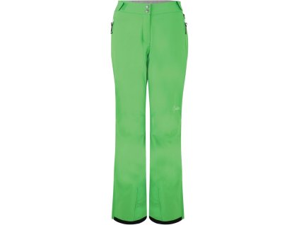 Kalhoty lyžařské Dare 2b Stand for Pant