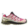 Salomon XA Pro 3D V9 GTX W