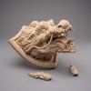 Untitled 10(6)