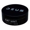 Cat Mnt