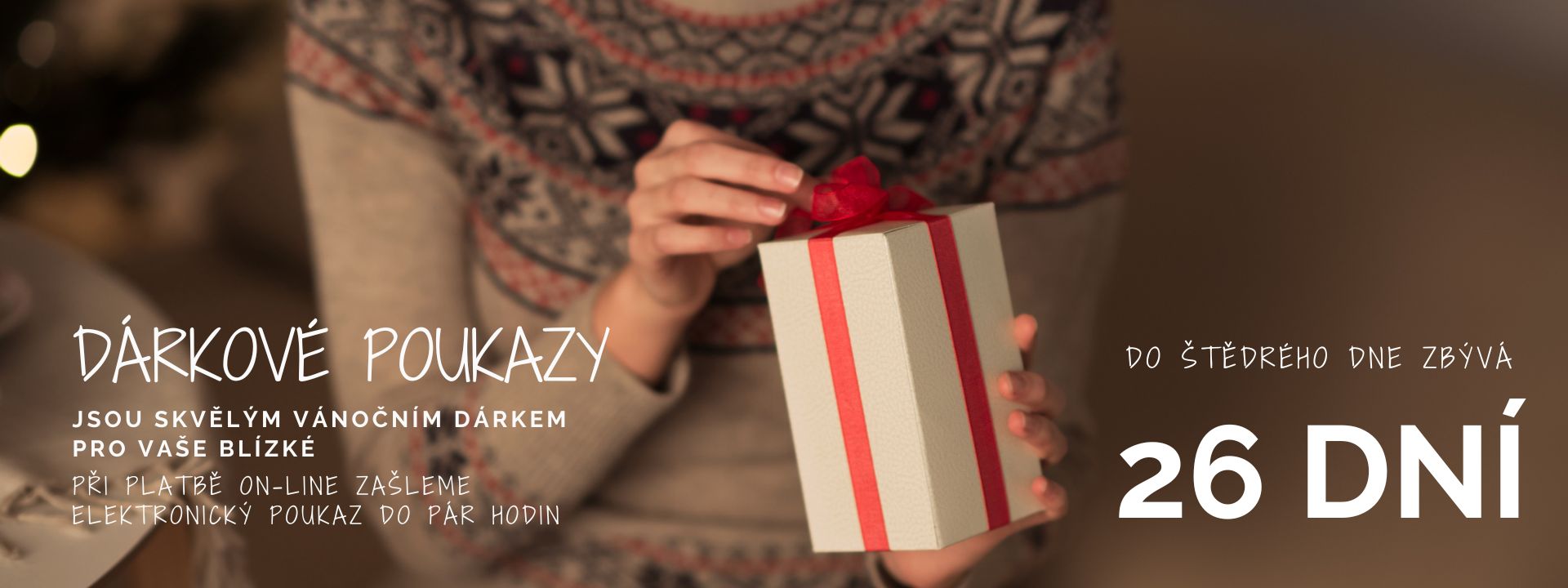 Vánoce dárkové poukazy 16