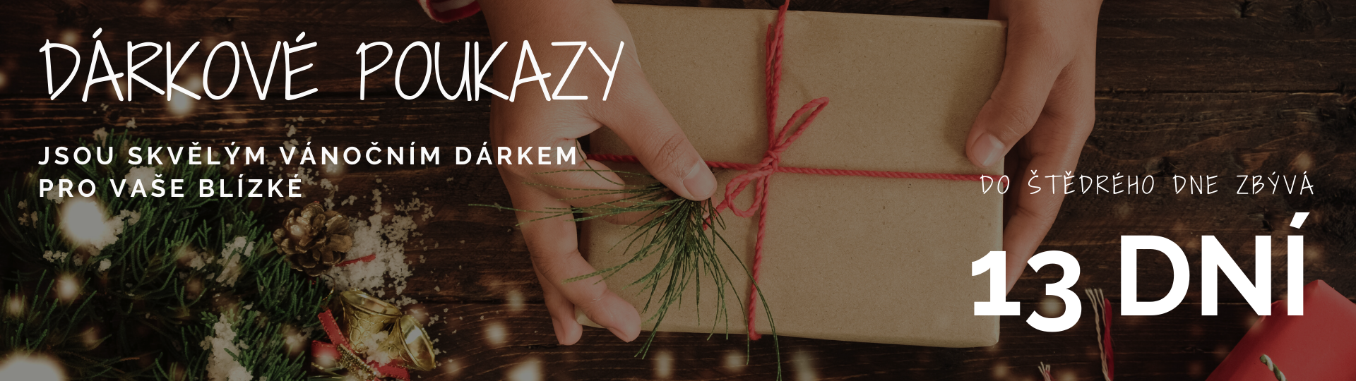 Vánoce dárkové poukazy 21