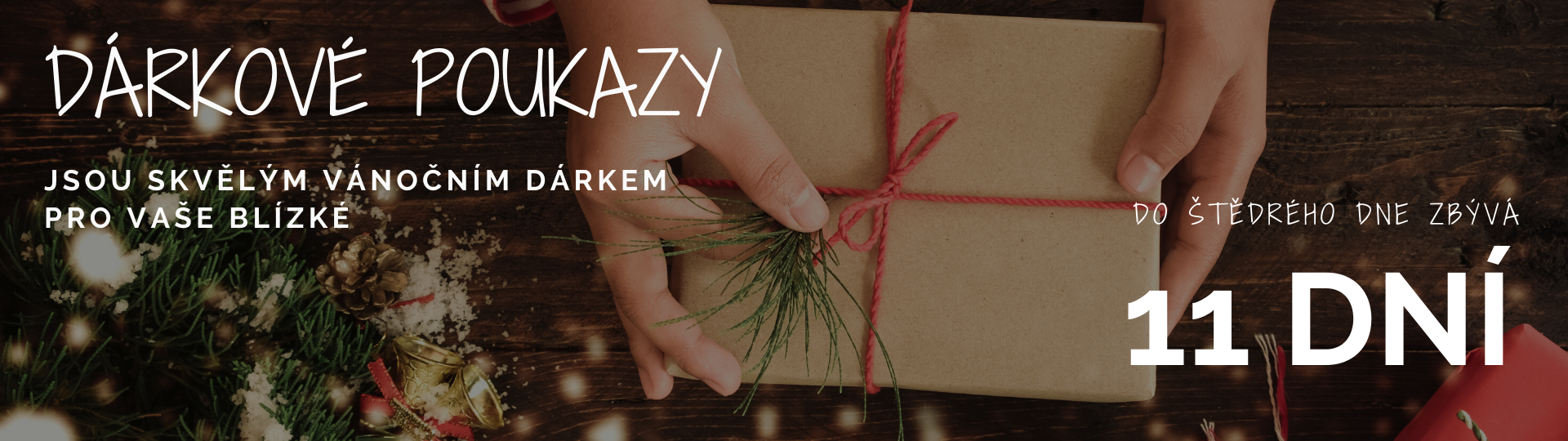 Vánoce dárkové poukazy 23