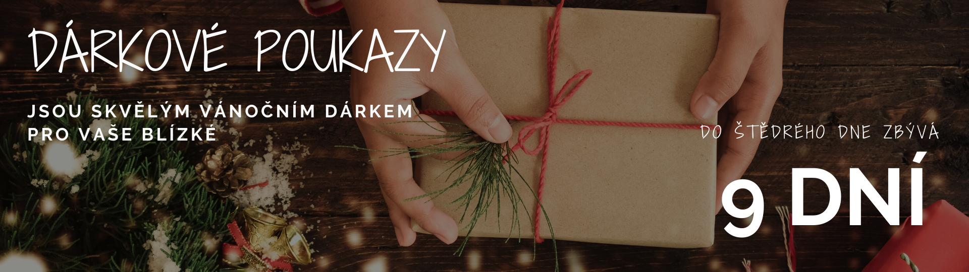 Vánoce dárkové poukazy 25
