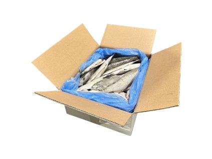 Mr.Pstruh dúhový pitvaný celý 200 250g 5kgkt 10 gl