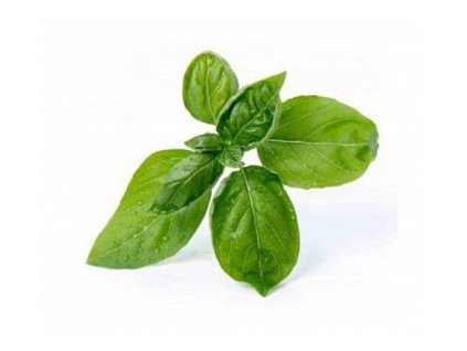 *** Bazalka mrazená 300g