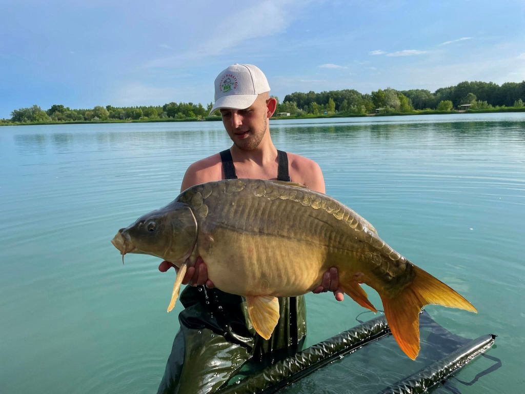 3 nap a Carp Centrum taván
