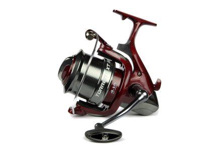 Torrent XT 6000 4+1cs