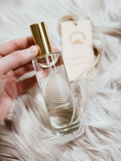 Bytový parfém WELLNESS (citrónová tráva a zázvor) | 100 ml