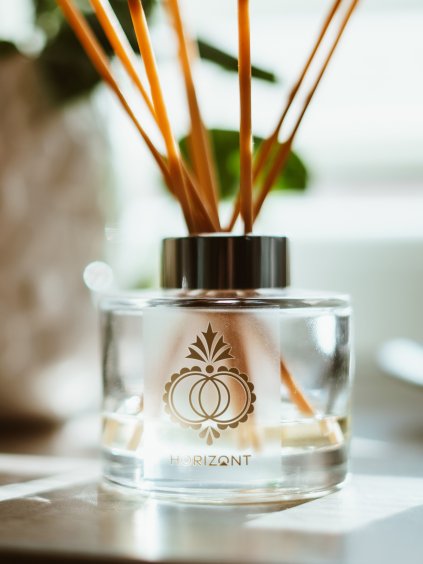 Difuzér s tyčinkami MORAVA (rebarbora a švestka) | 165 ml