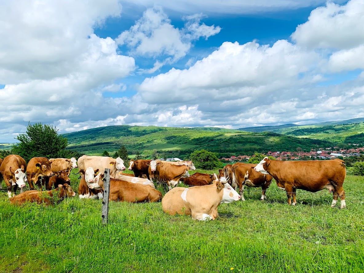 Horňácká farma s.r.o.