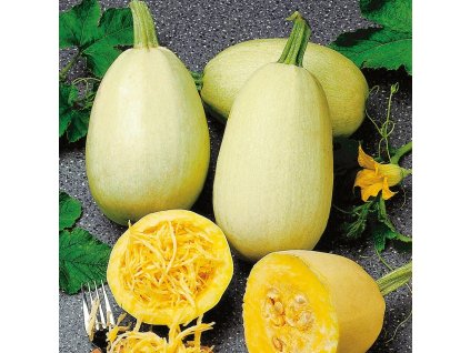 faaf358b474ece7ce0902d730902763d1ce307ae original 1000x1000