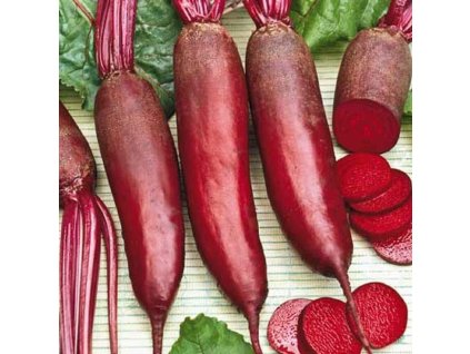 7e25ded4af8b9e5c2a8d68afa7a450976ded0ac8 original 1000x1000