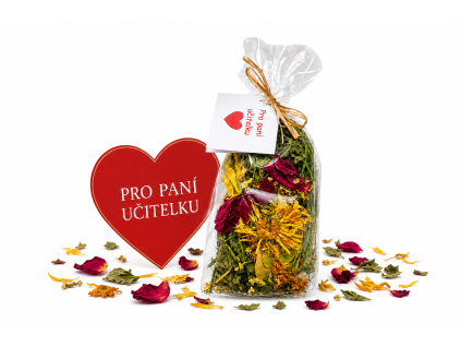 PRO PANÍ UČITELKU