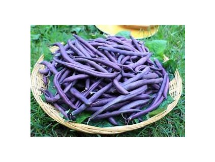 9b7d3a3785142f8fa6dc6d2f359ee369f3e64f09 original 304x220