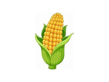 6e698d4d52993245517cf8accffbcc81ade0639a original 152x220