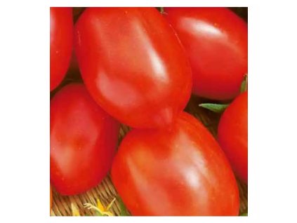 7c844d25cf4aecb2692dc8a2cbee3872ba49fefd original 1024x1024