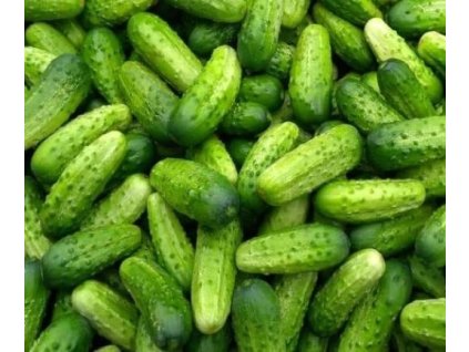 f0cae4e24b143acaf52633f1513b89a86c057351 original 518x434