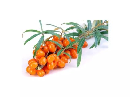 c125e517cac45cb23c6727e057e83b17a3f18694 original 1024x768