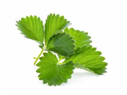 39dcff5ca77d9bba3a9c23402435391b268eb584 original 626x499